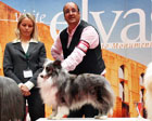 CACIB Elvas 2012